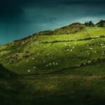 LV国际与其他奢侈品牌的竞争分析 9iq82