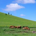 lv国际娱乐的奢华设施与娱乐项目全解析 avo3j46rtd