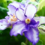 lv国际娱乐的安全与保障措施:让您放心游玩 bliu11