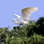 如何辨别LV国际产品的真伪与品质 iuta7r