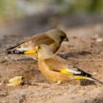 LV国际在数字化时代的转型与应对 uy3biler5