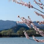 lv国际娱乐:一场视觉与感官的盛宴 y5ha5179eo